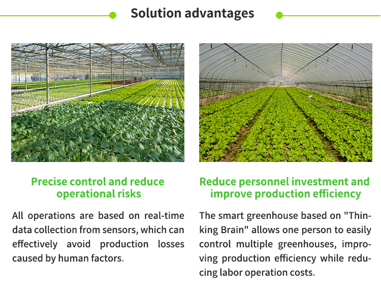 Smart greenhouse IoT solution