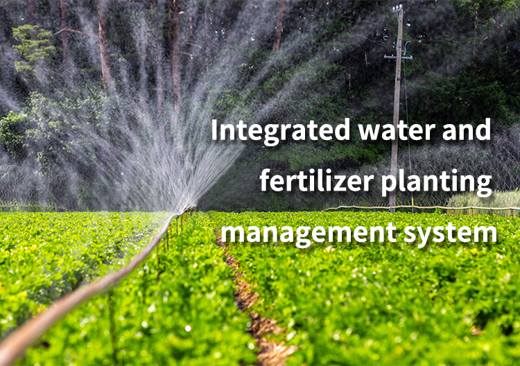 Integrated water and fertilizer planting management system