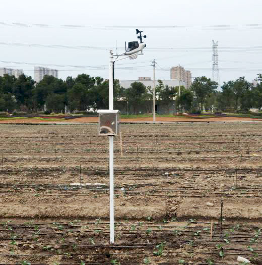 Tianzheng High Tech IoT cauliflower nutrition experimental zone intelligent water fertilizer integration project