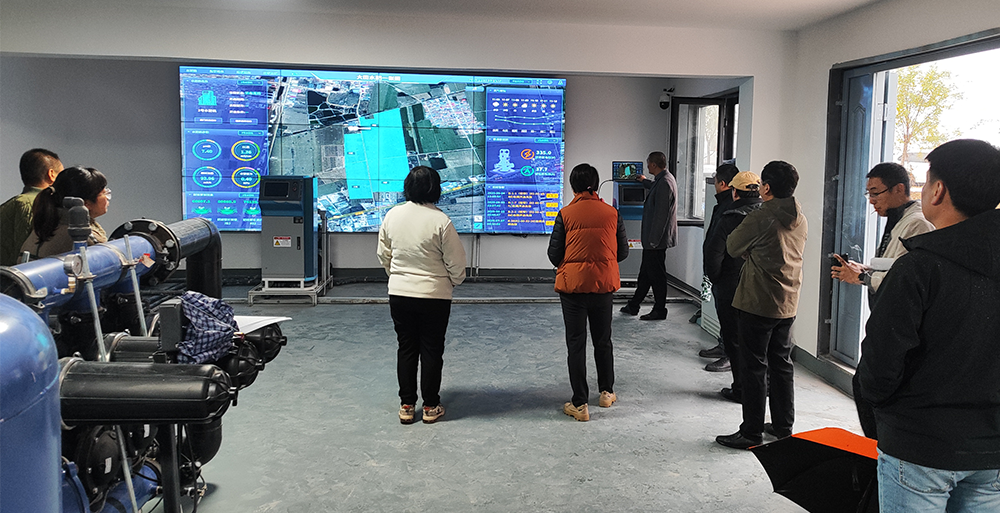 玉米单产提升 河北霸州