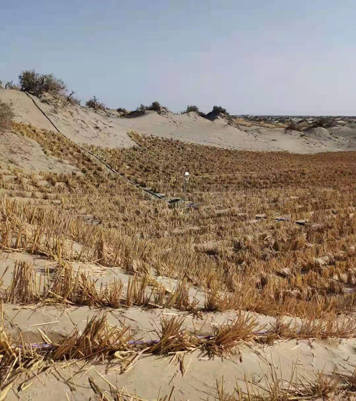Tianzheng High Tech Intelligent watering technology ensures stable operation of the desert railway