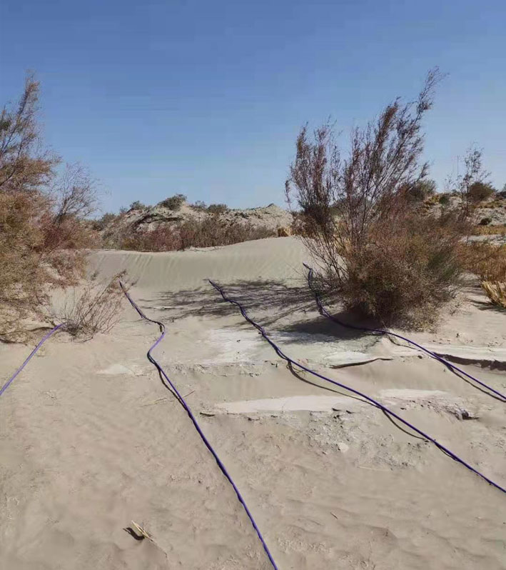 Tianzheng High Tech Intelligent watering technology ensures stable operation of the desert railway