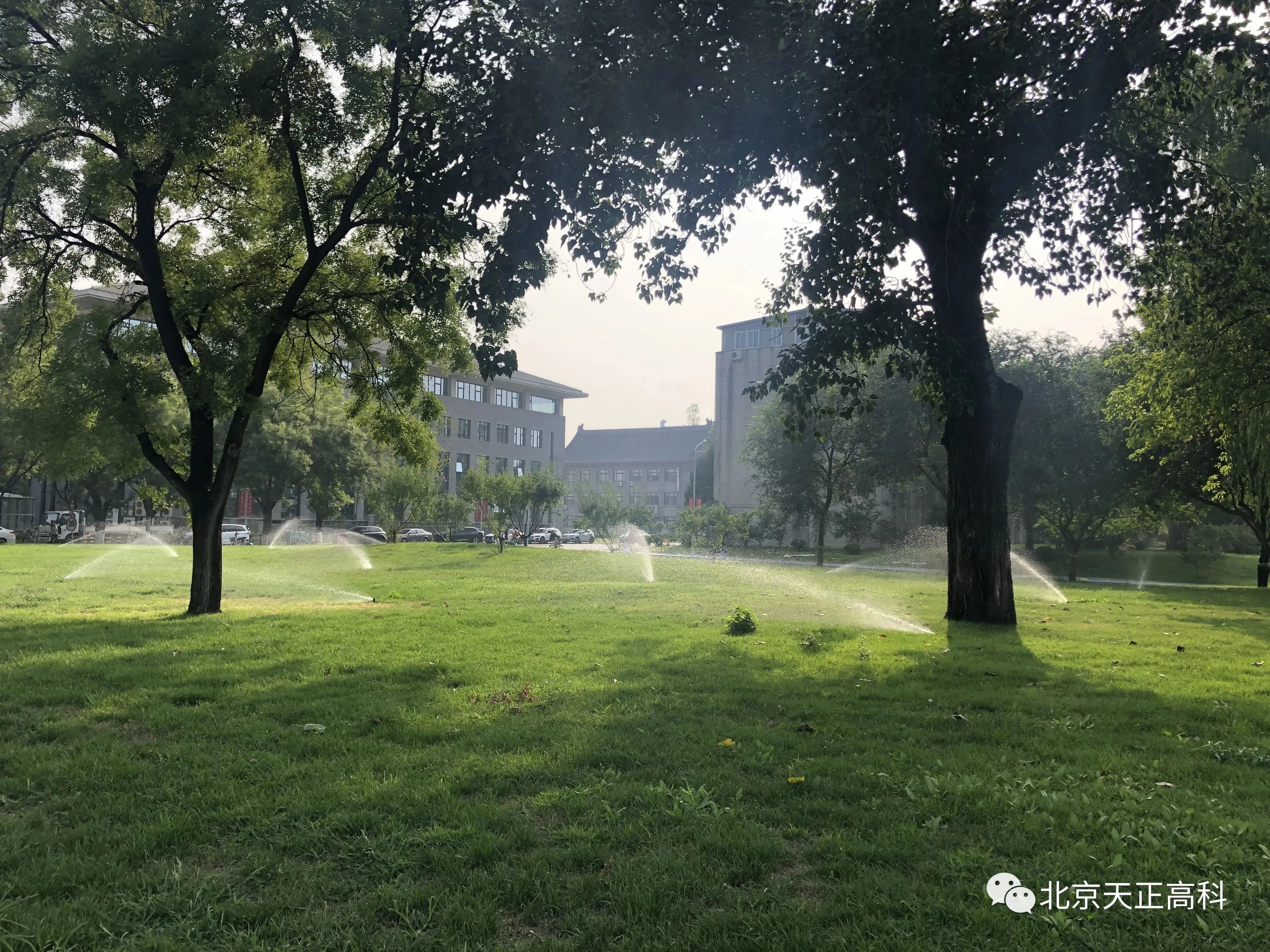 Tianzheng High Tech Peking University Lawn Sprinkler Irrigation Construction and Renovation Project