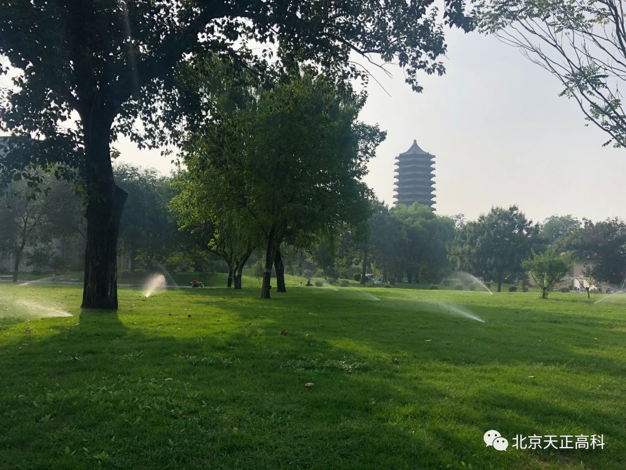 Tianzheng High Tech Peking University Lawn Sprinkler Irrigation Construction and Renovation Project