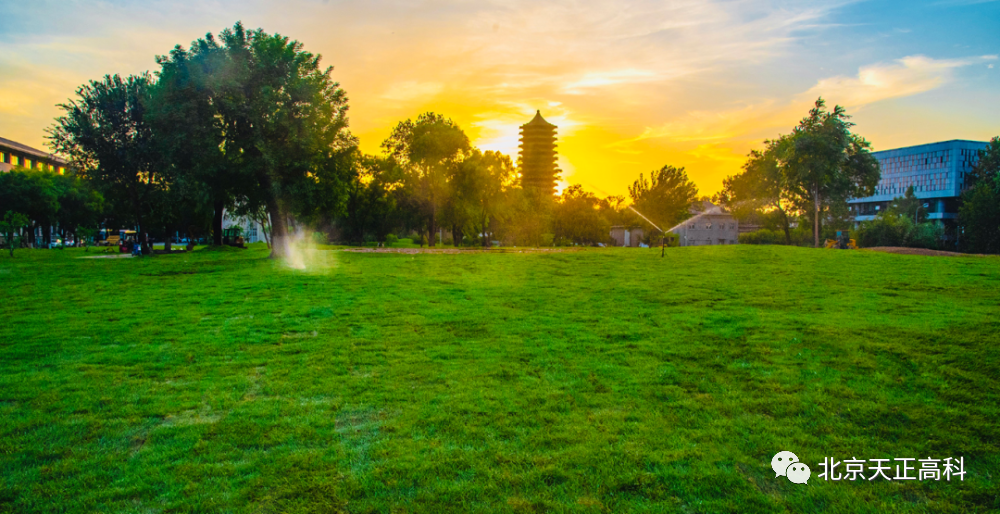 Tianzheng High Tech Peking University Lawn Sprinkler Irrigation Construction and Renovation Project