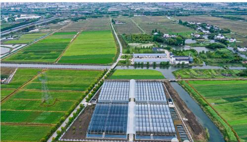 Tianzheng High Tech Tianzheng High Tech